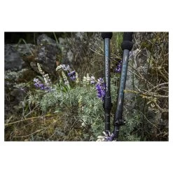 Momentum Trekking Poles -Outdoor World Momentum Lifestyle 1