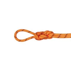 Mammut 8.7 Alpine Sender Dry Rope