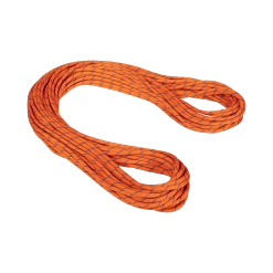Mammut 9.0 Alpine Sender Dry Rope