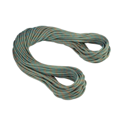 Mammut 9.9 Crag Workhorse Dry Rope